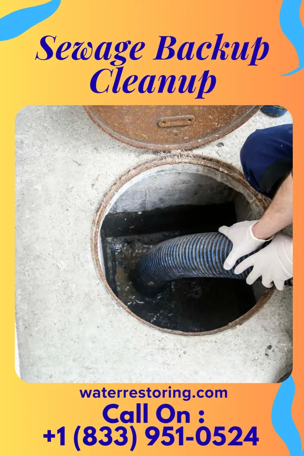 Sewage Backup Cleanup in Pierceton, IN