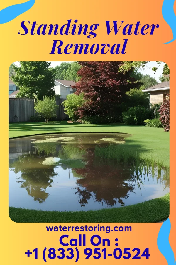 Standing Water Removal in Pierceton, IN